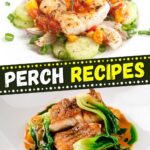 Perch Recipes