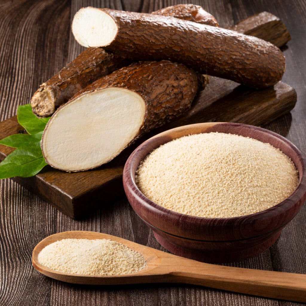 Cassava or Tapioca Flour in a bowl and spoon with whole cassava root on the side