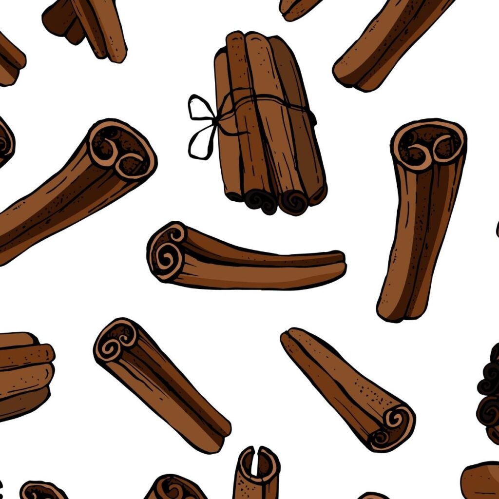 Cinnamon Bark Illustration