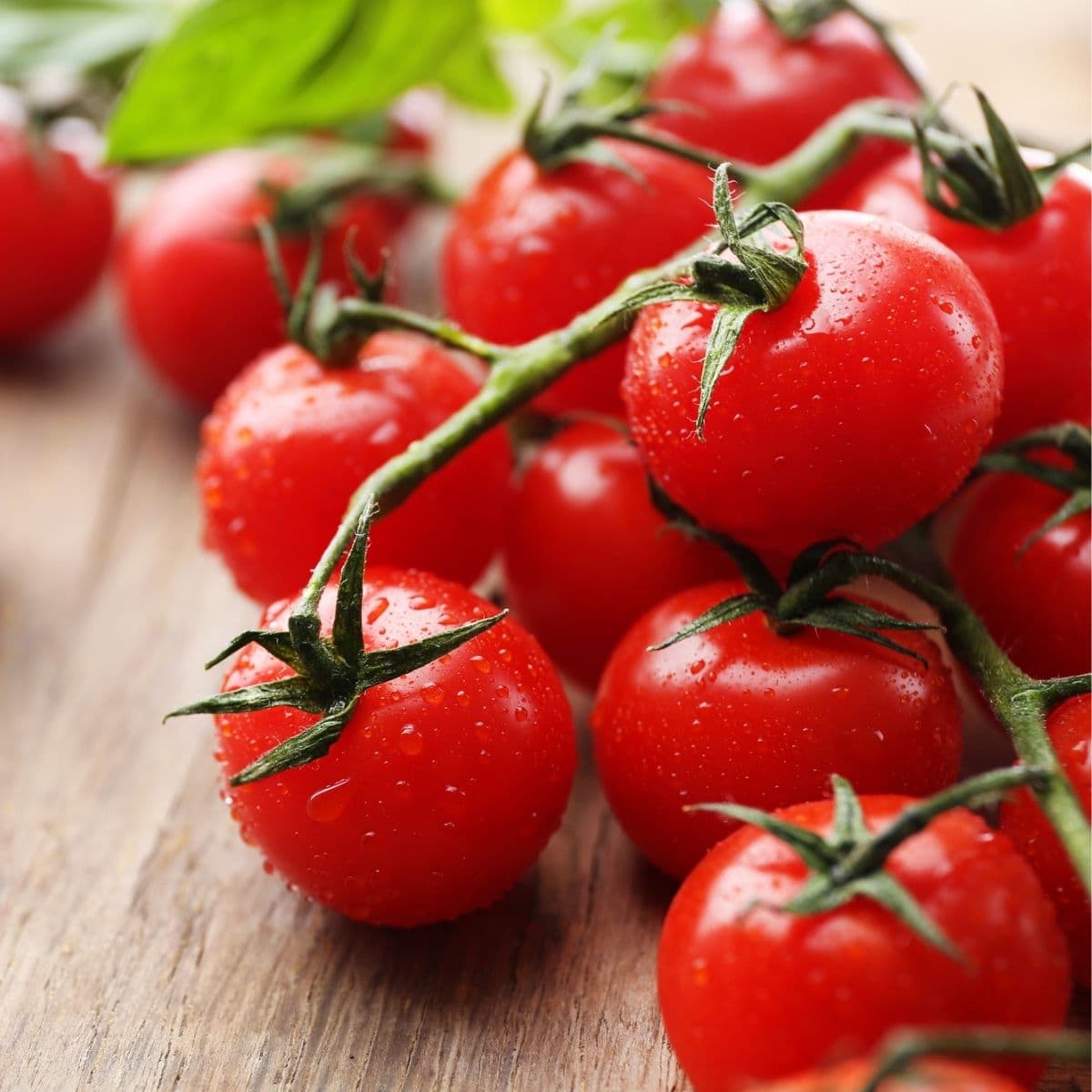 10 Best Tomato Sauce Substitutes to Try Insanely Good