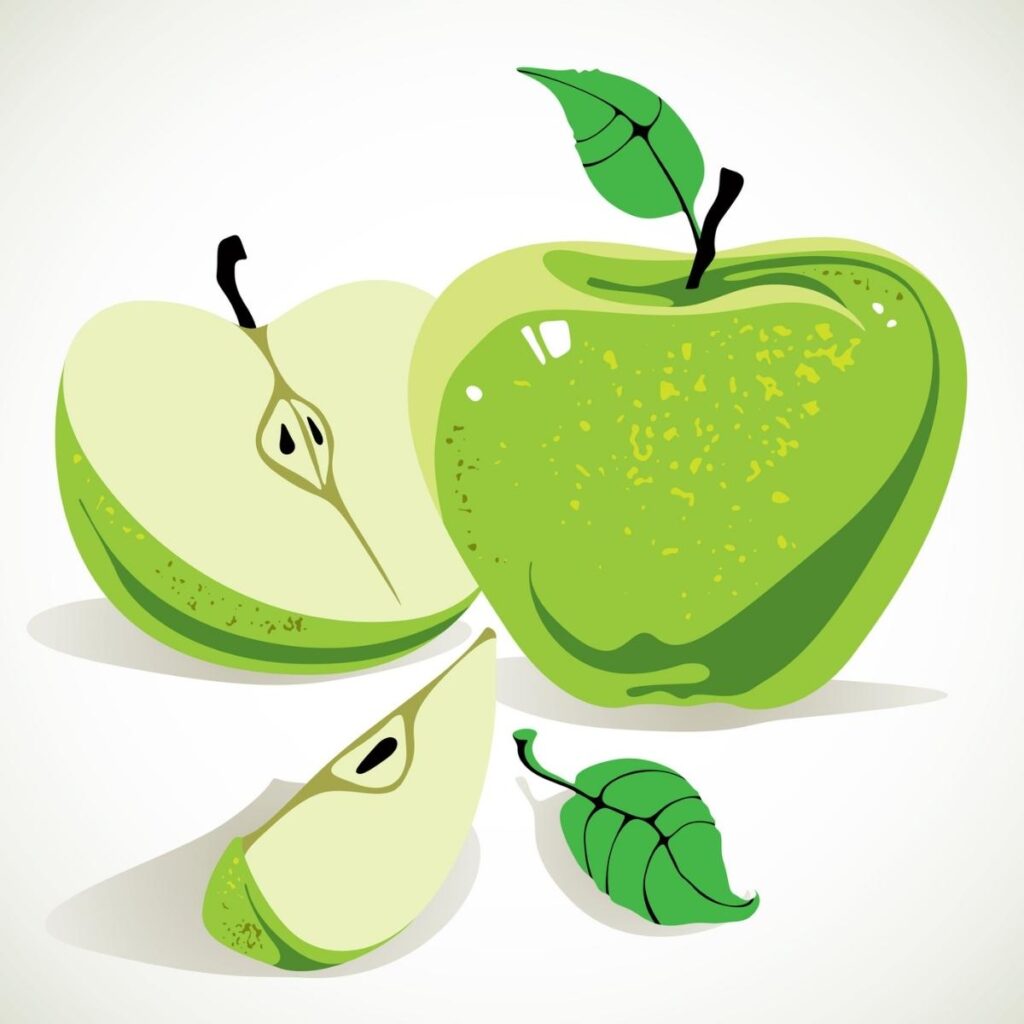 Sliced Green Apple Illustration