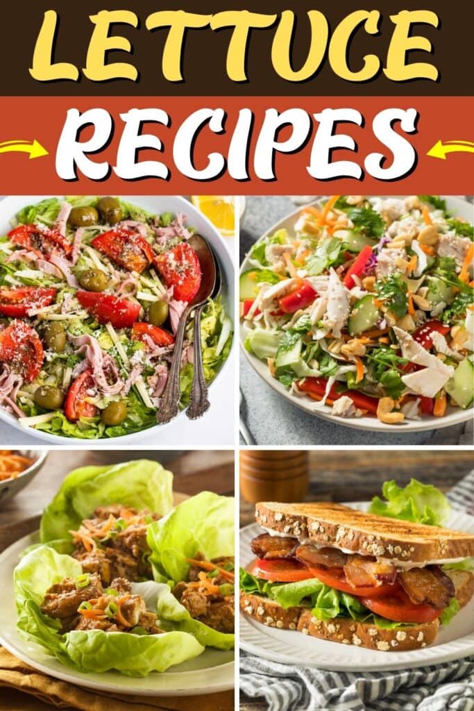 Lettuce Recipes 