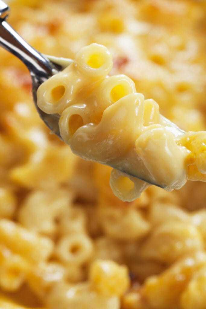 Old Fashioned Creamy Mac and Cheese Scooped wiith a Fork