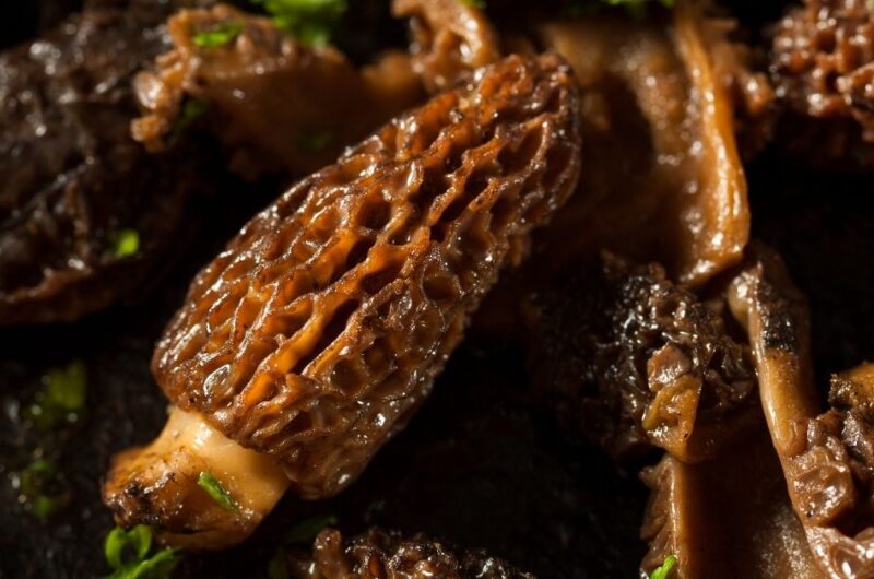 17 Ways to Cook Morel Mushrooms