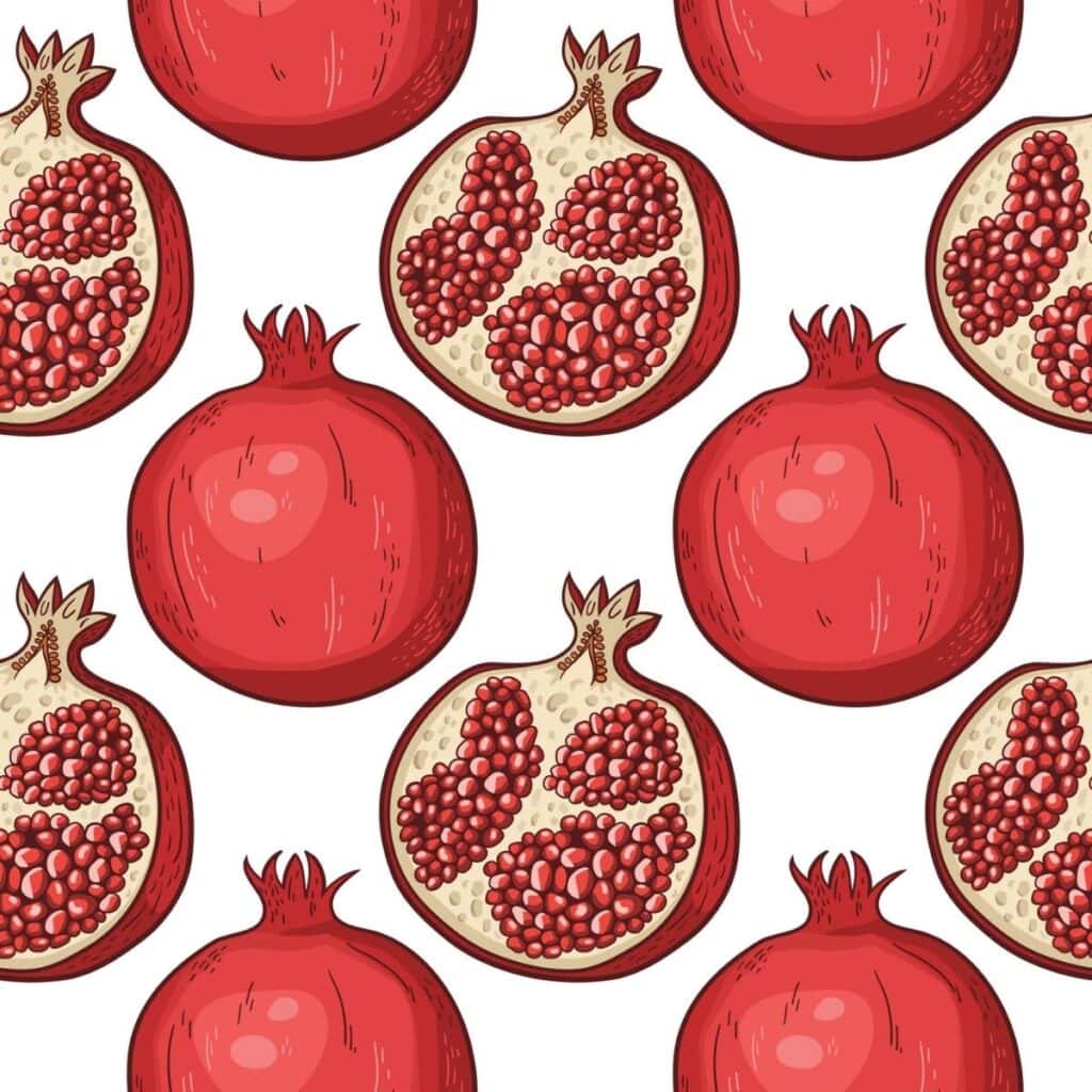 Sliced Pomegranate Illustration