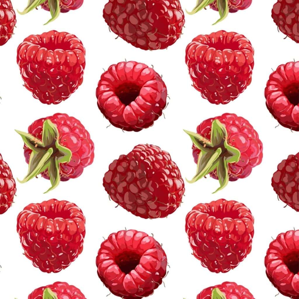 Raspberries Drawing