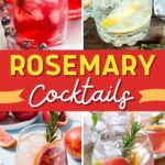 Rosemary Cocktails