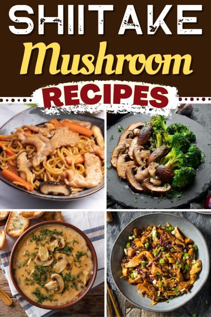 Shiitake Mushroom Recipes