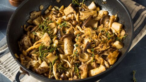 Different Types of Mushrooms (and Recipes!) • Oh Snap! Let's Eat!