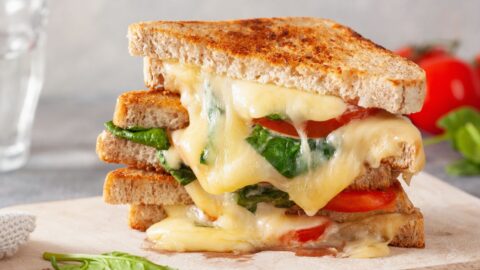 Homemade Grilled Cheese Sandwich with Tomatoes and Herbs