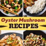Oyster Mushroom Recipes