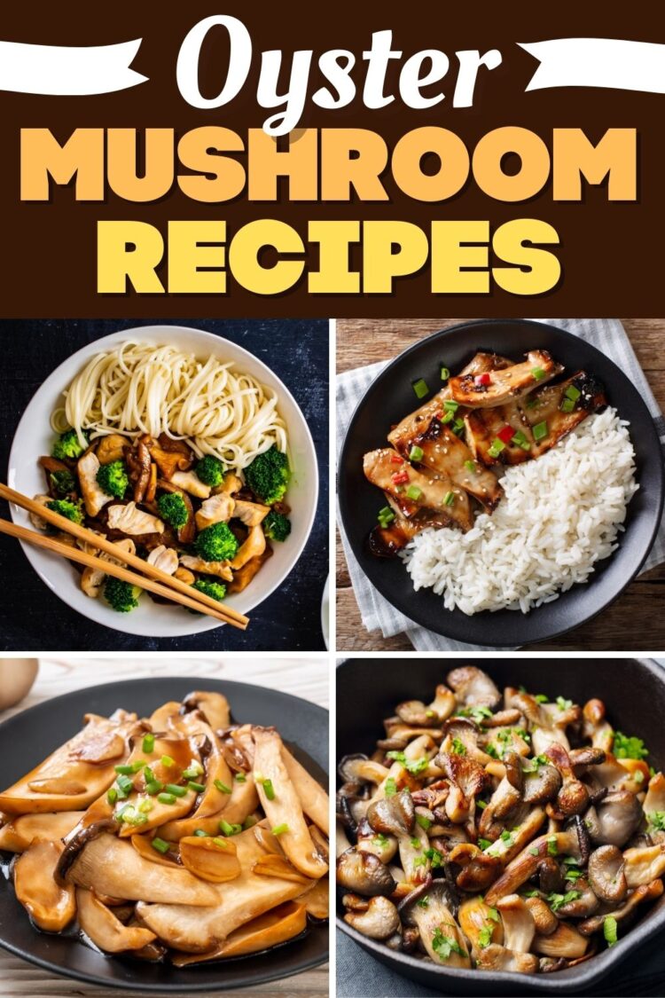 10 Oyster Mushroom Recipes You Have to Try Insanely Good