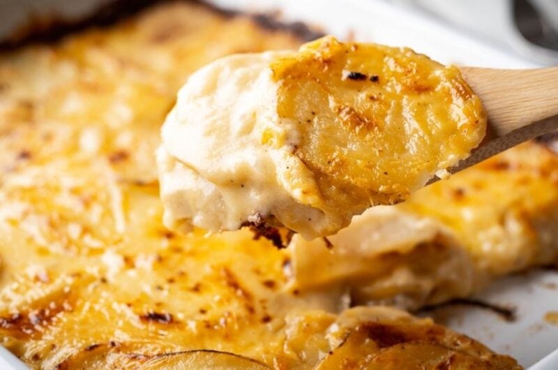 20 Best Gratin Recipe Collection
