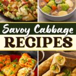 Savory Cabbage Recipes