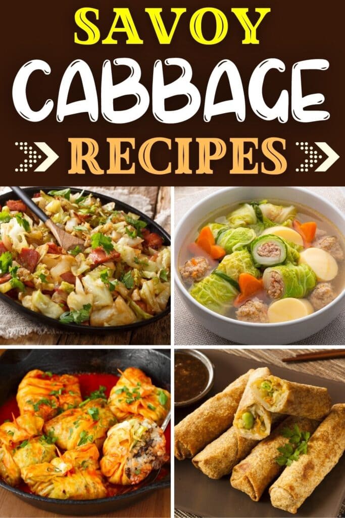 Savoy Cabbage Recipes