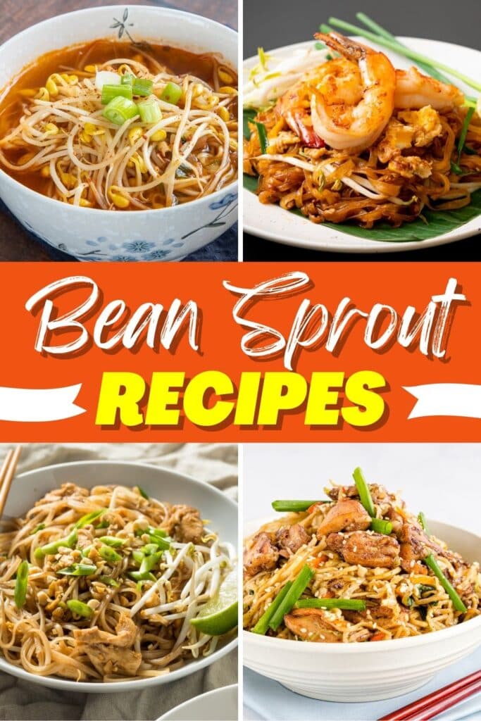 Bean Sprout Recipes