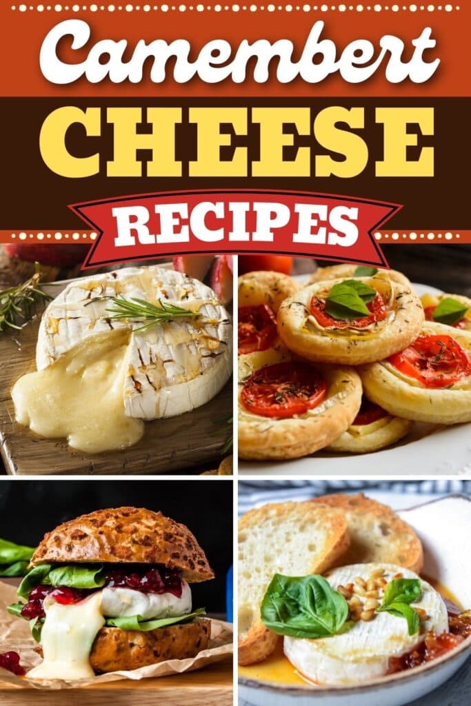 Camembert Cheese Recipes