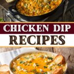 Chicken Dip Recipes