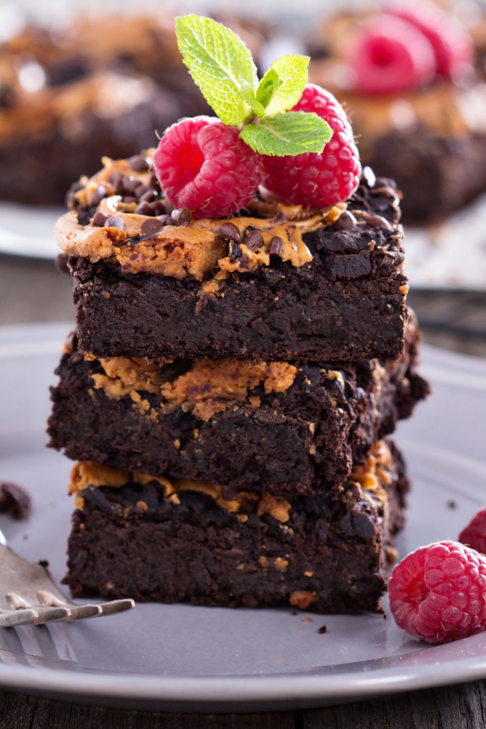 30 Best Chocolate Peanut Butter Desserts Insanely Good