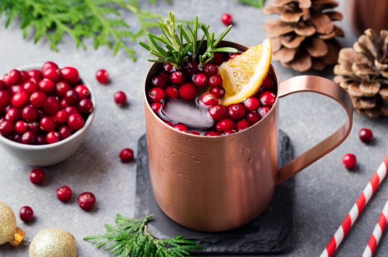 20 Best Moscow Mule Recipe Collection