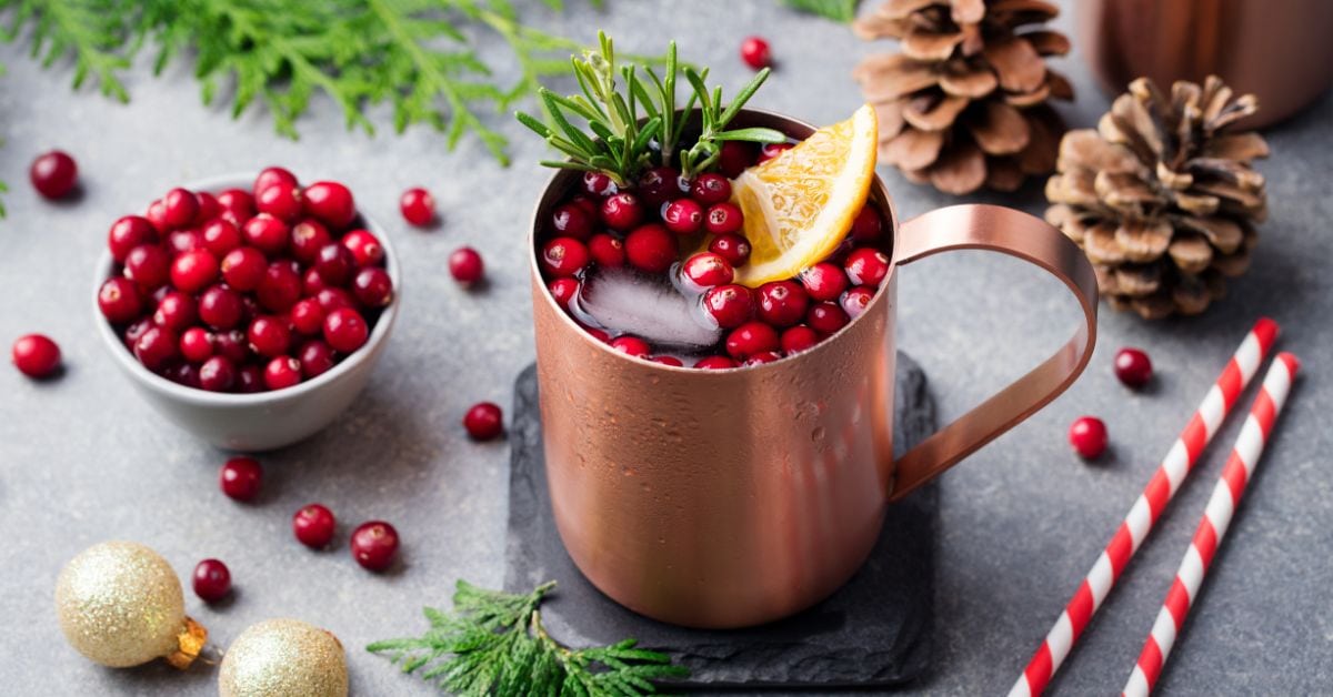 Homemade Cold Moscow Mule with Cranberries and Lemon