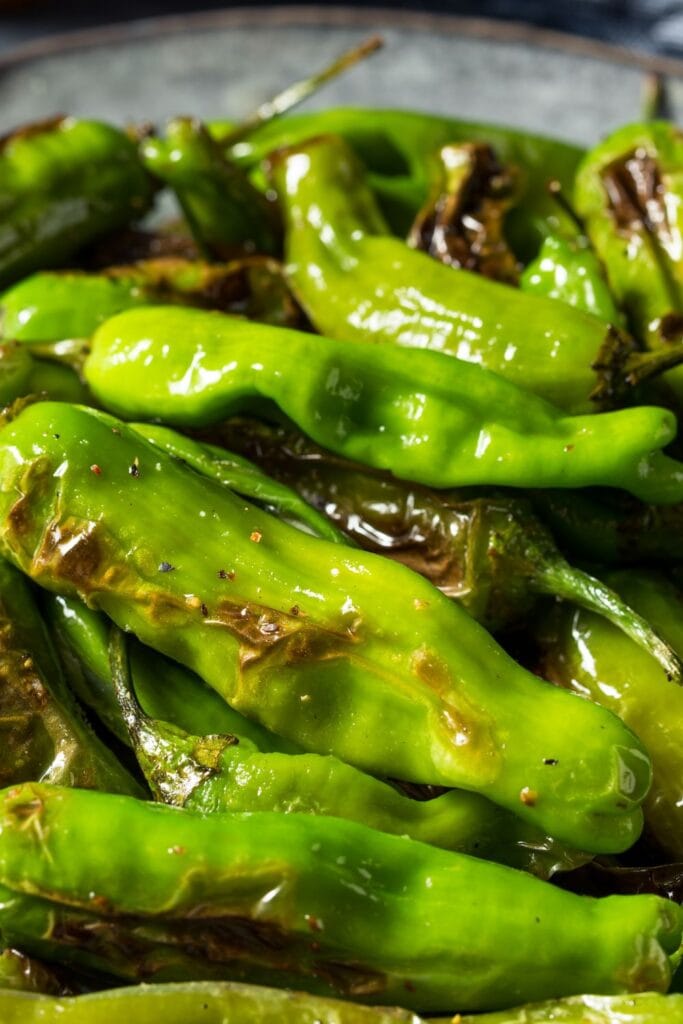 10 Best Shishito Pepper Recipes (Quick + Easy). Shown in picture: Homemade Shishito Pepper with Salt 