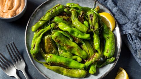 Homemade Roasted Shishito Pepper with Salt and Lemon