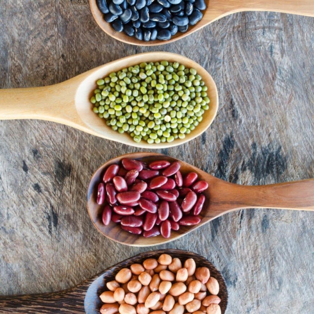 different beans on wooden spoons
