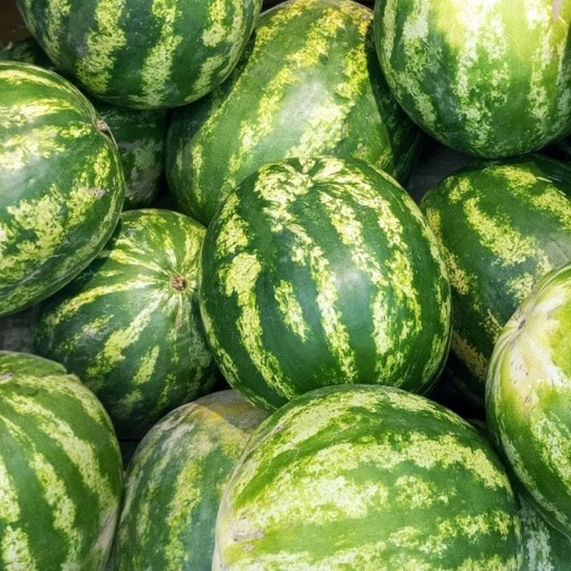 How to Tell If a Watermelon is Ripe (6 Ways): Bunch of Watermelon Displayed For Sale in a Store