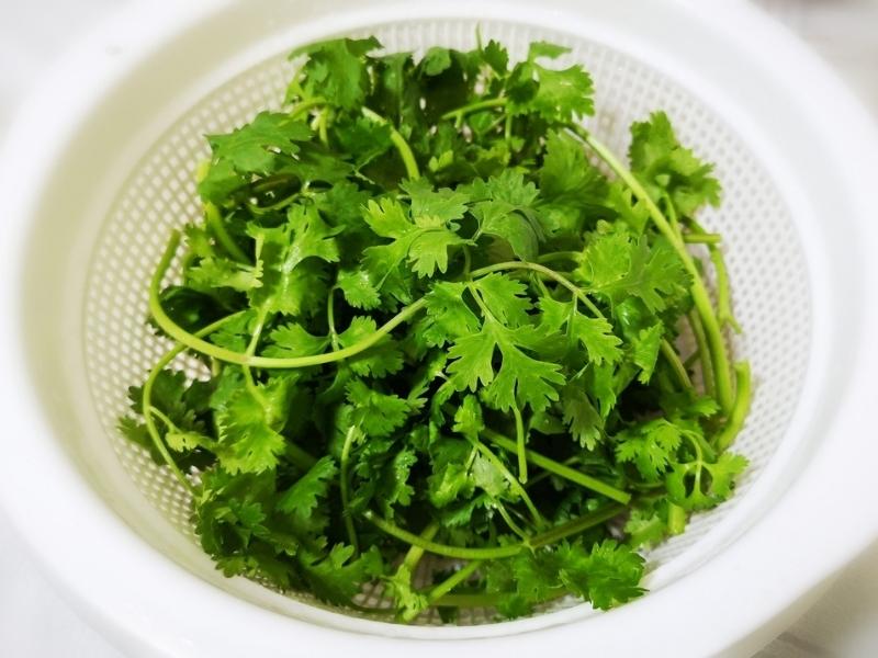 Cut and Washed Parsley on a Plastic Coriander