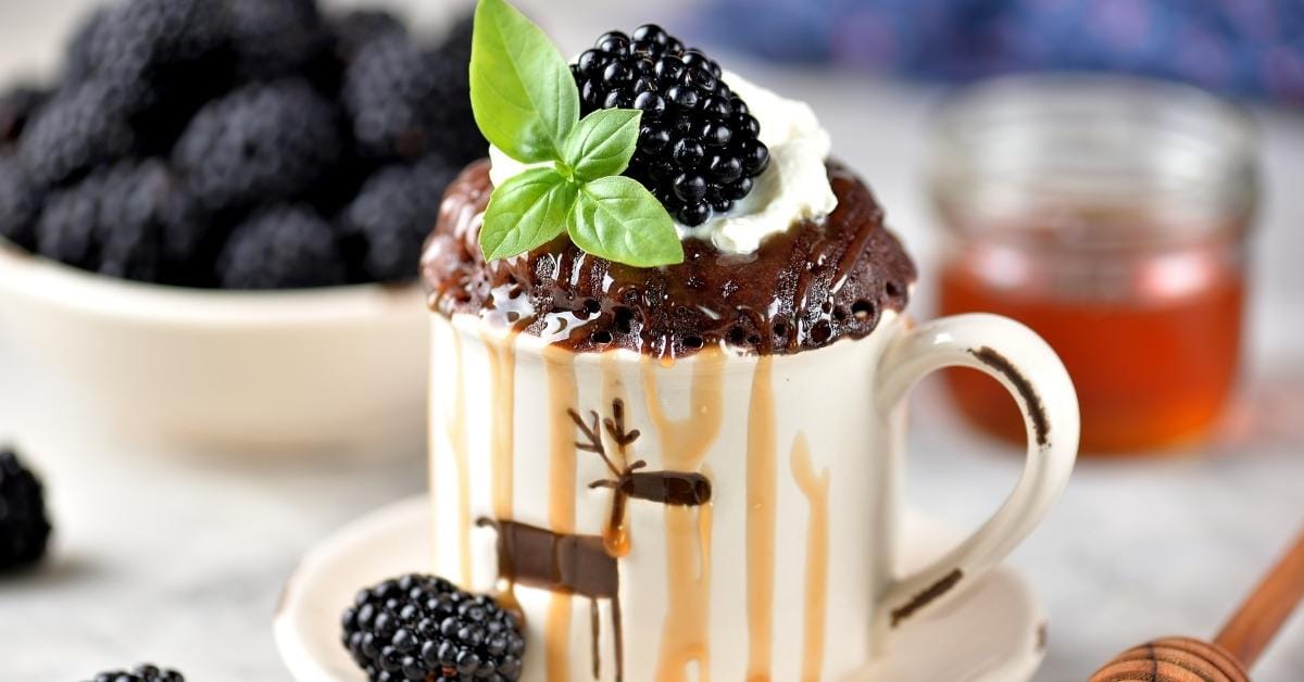 Delicious Chocolate Mug Cake with Blackberries and Syrup