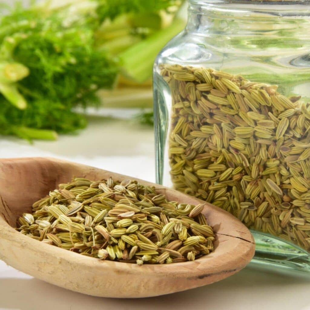 Fennel Seeds in a Wooden Spoon and Glass Bottle