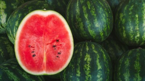 Fresh Green Watermelon with Cut Watermelon