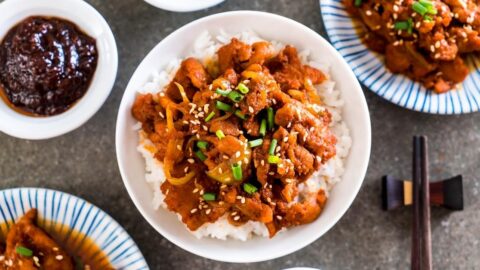 Homemade Korean Bulgogi with Fried Pork and Rice