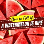 How to Tell If a Watermelon is Ripe