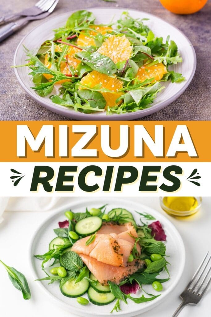 Mizuna Recipes