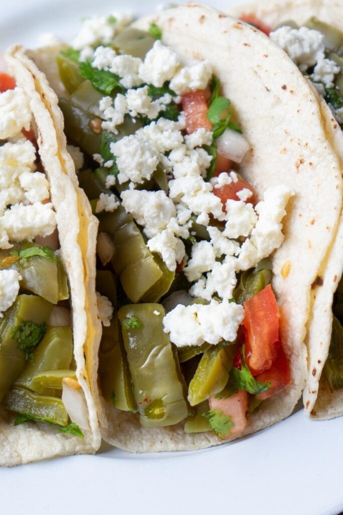 Nopales Cactus Tacos with Cheese and Tomatoes