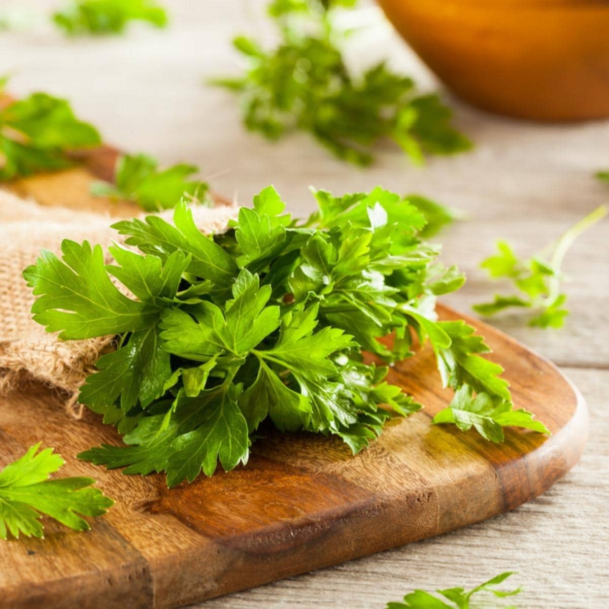 10 Substitutes for Tarragon (+ Best Alternatives) Insanely Good