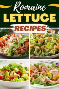 30 Best Romaine Lettuce Recipes (Not Just Salads) - Insanely Good