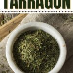 Substitutes for Tarragon