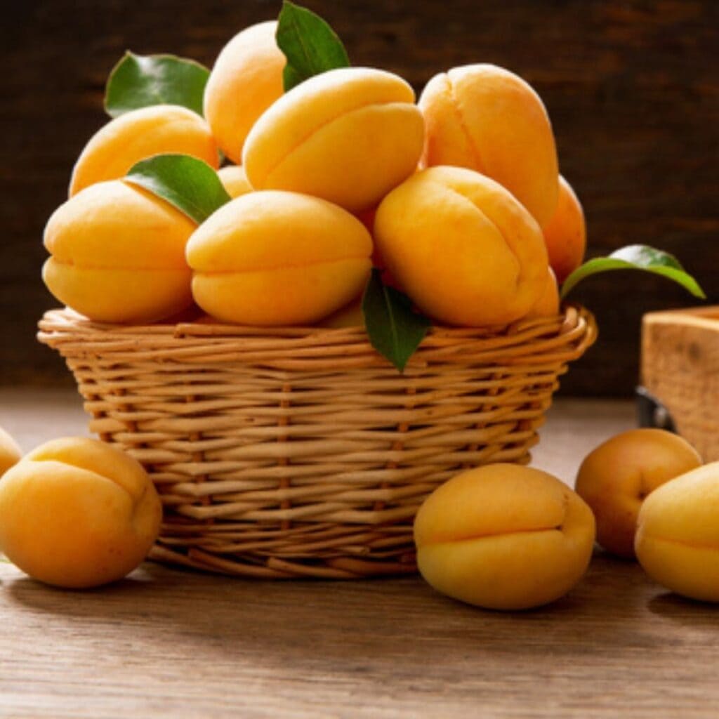 Basket Filled With Fresh Apricots