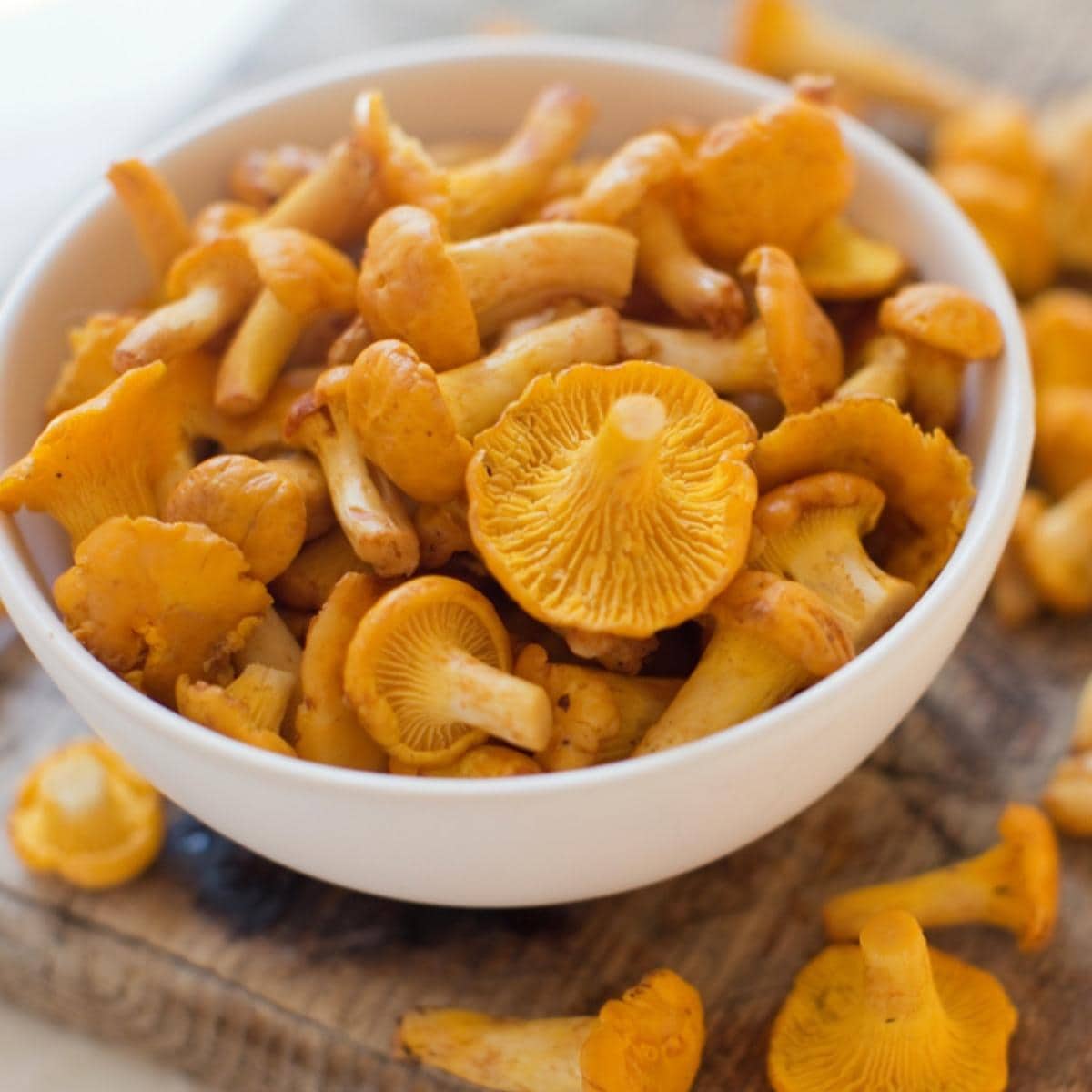 Bowl filled with chanterelles