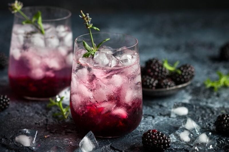 10 Best Lavender Cocktail Recipe Collection