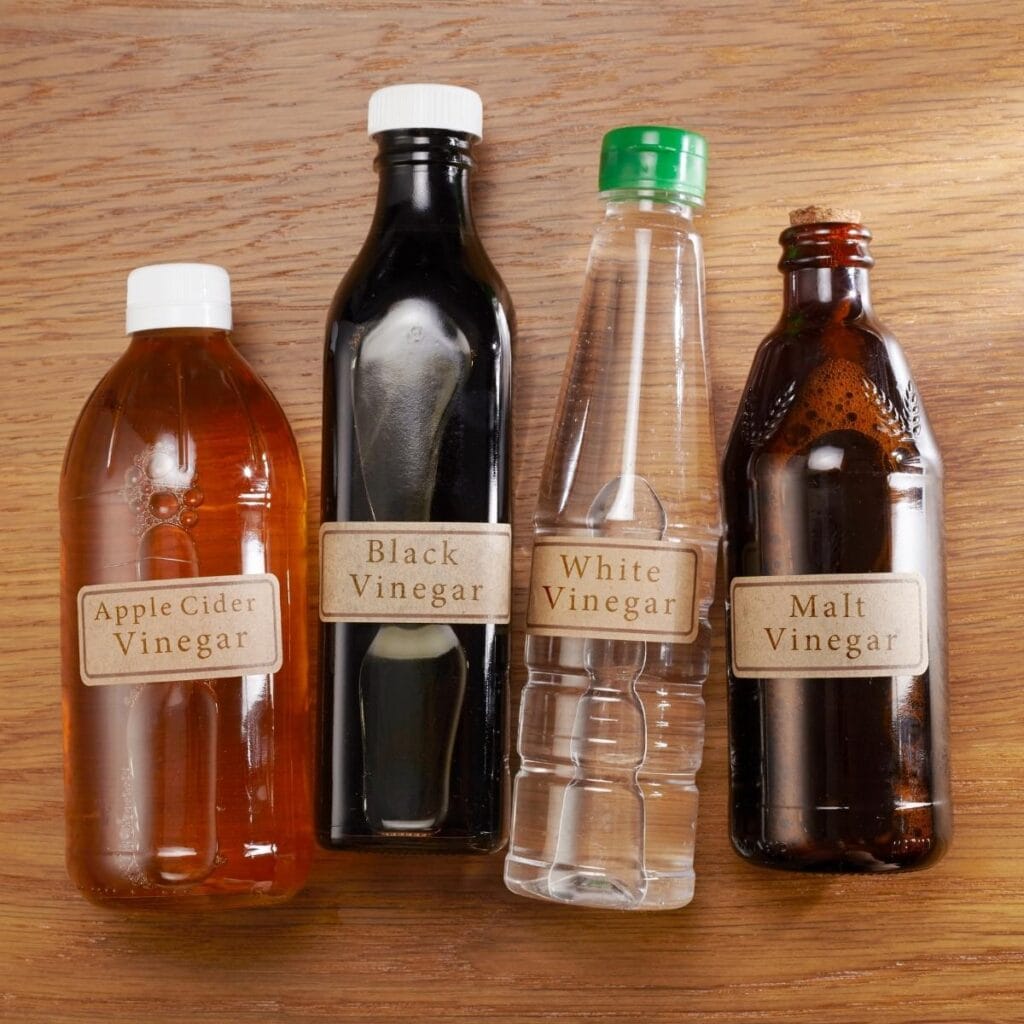 Different Vinegars: Apple Cider, Malt, Black and White Vinegar