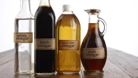 Different Vinegar in Bottles: White, Black, Apple Cider and Malt Vinegar