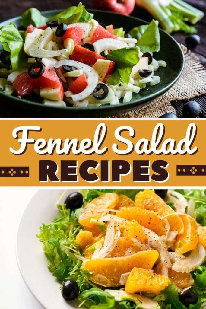 Fennel Salad Recipes