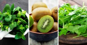 Green Foods: Mint, Kiwi and Arugula