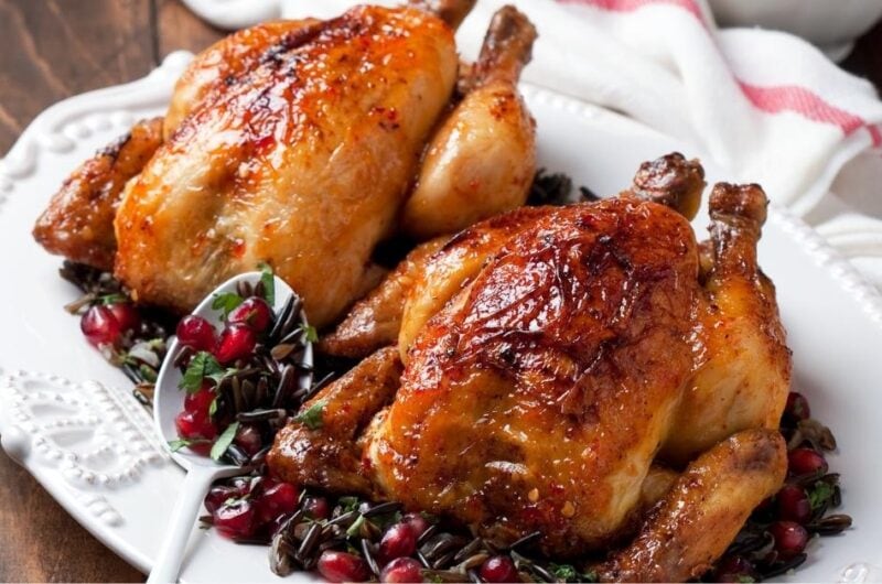 10 Best Wild Turkey Recipe Collection