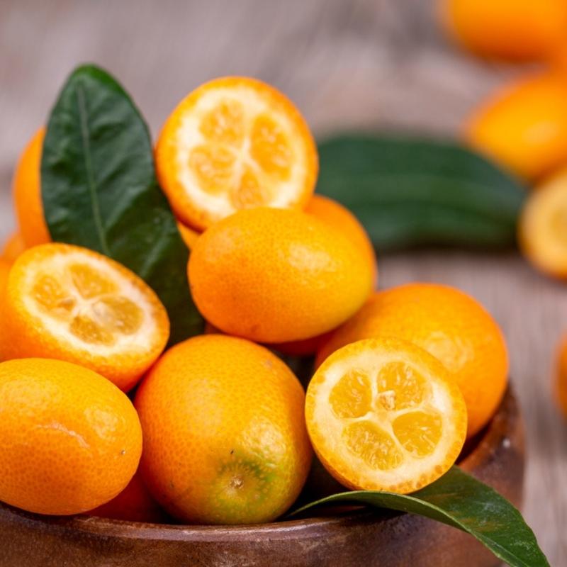  Fresh Kumquats