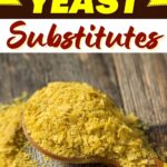 Nutritional Yeast Substitutes